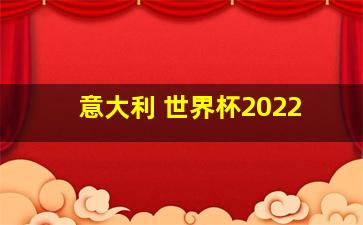 意大利 世界杯2022